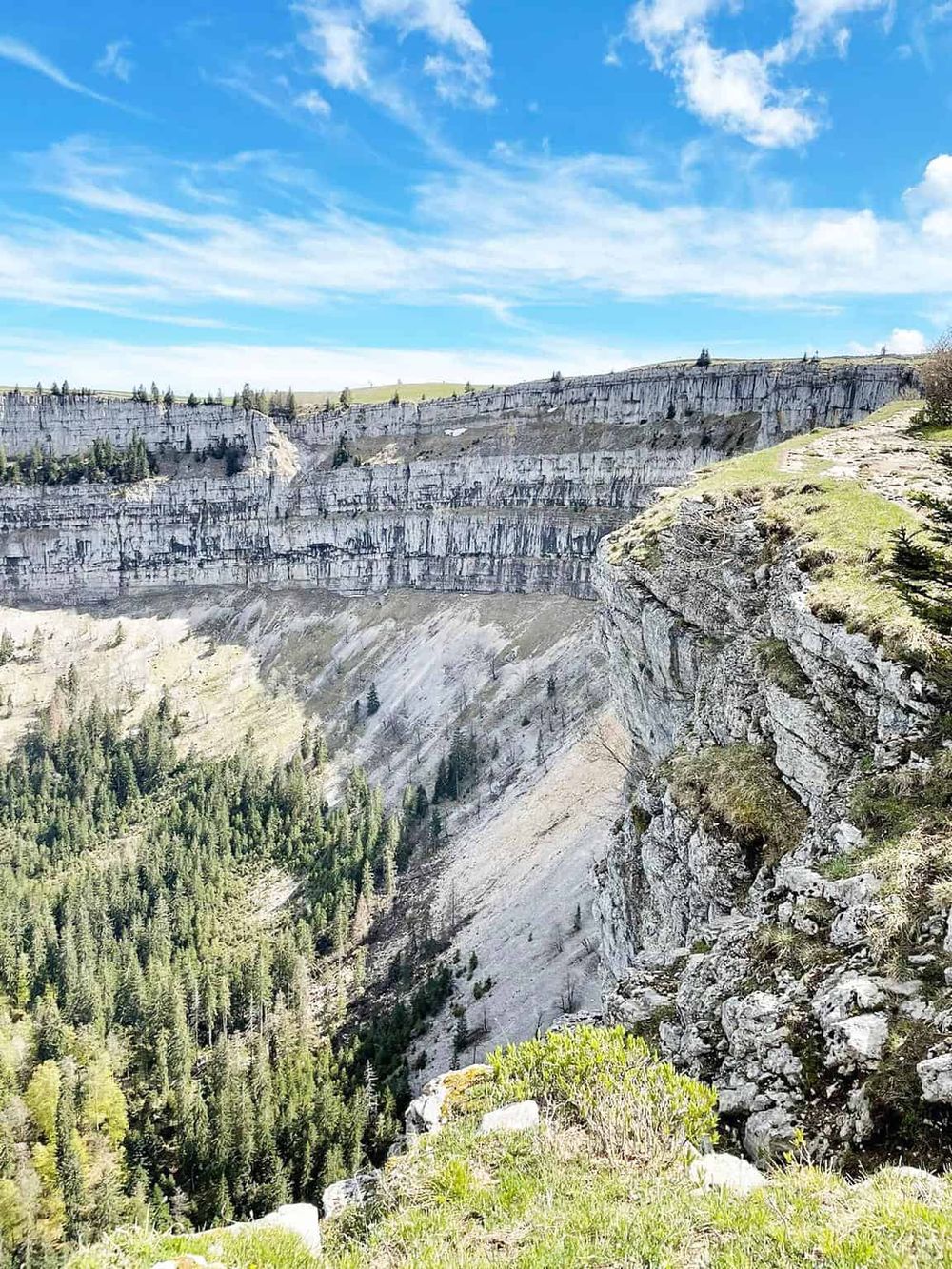 Breathtaking view of the White Cliffs and deep canyon with lush green forest below, showcasing scenic outdoor hiking spots.