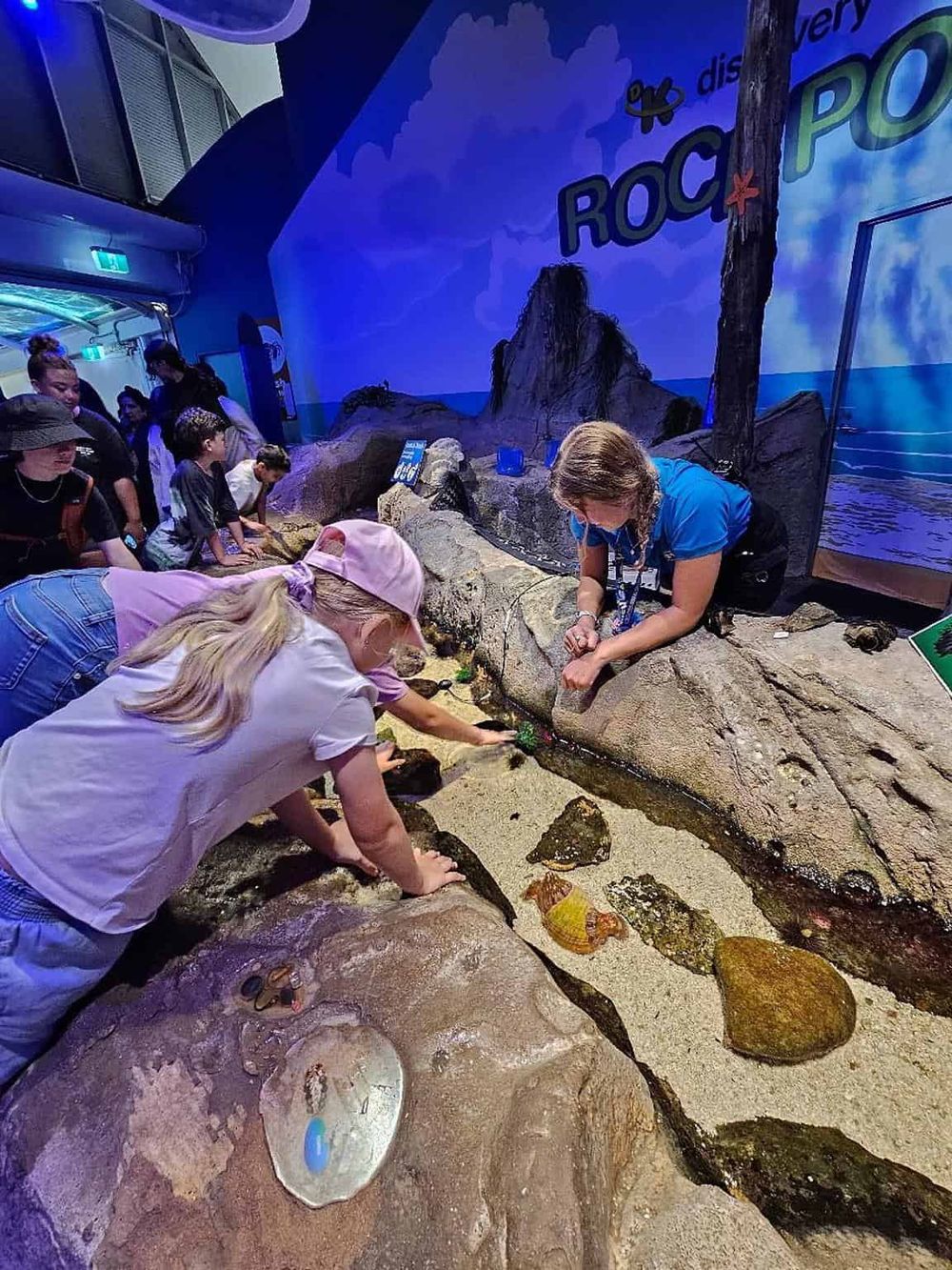 Colorful indoor rock pool exhibit at Quest For Directions, engaging children with educational marine life experience.