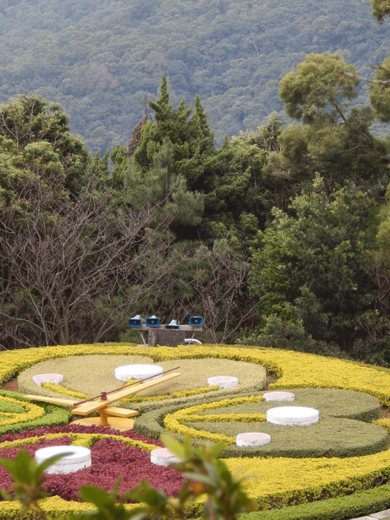 Colorful floral clock in a lush green park with trees in the background, showcasing scenic natural beauty.