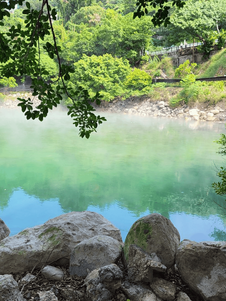 Tranquil river scene with lush green trees and rocks along the shore, surrounded by natural forest tranquility.