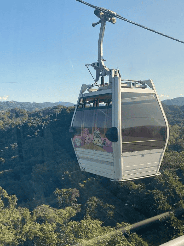 Cable car ride over lush forest landscape for sightseeing and adventure tourism.