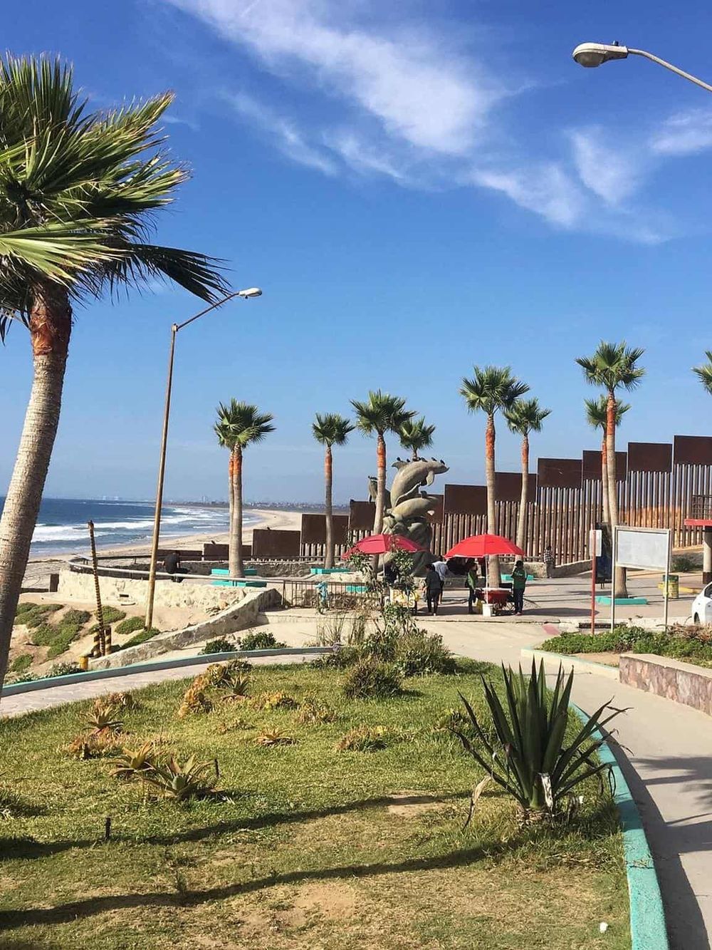 Palm trees along the beach coast with clear blue sky and ocean view in the background.