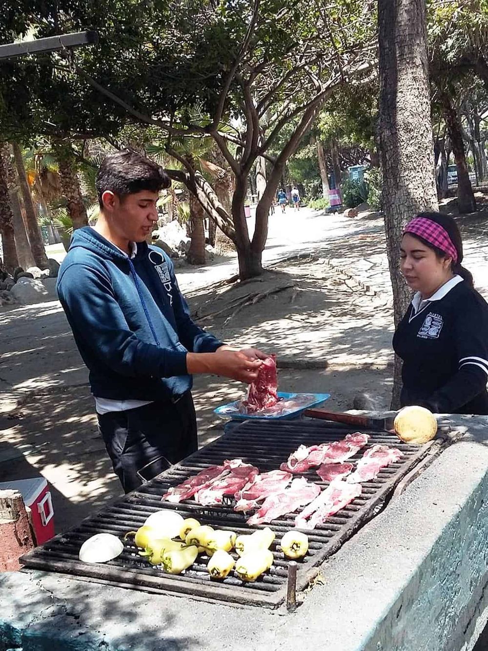 Fresh grilled meat and vegetables at outdoor barbecue in park.