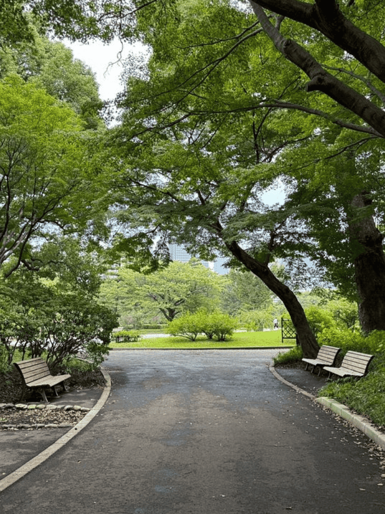 Lush green park with benches, shaded by large trees, paths and vibrant foliage.