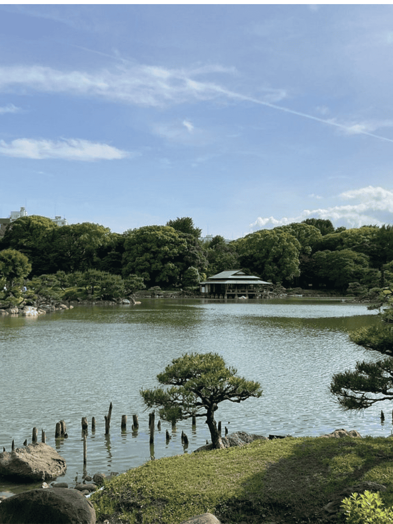 Serene Japanese garden with pond, traditional pavilion, lush greenery, and tranquil atmosphere for mindfulness.