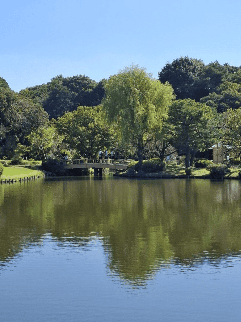 Serene park with a pond, lush greenery, and a small bridge, perfect for outdoor excursions and nature walks.