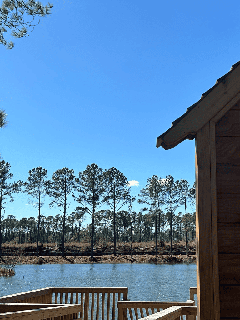 Serene lakeside view with wooden cabin, tall pine trees, and clear blue sky, perfect for nature and outdoor adventure enthusiasts.