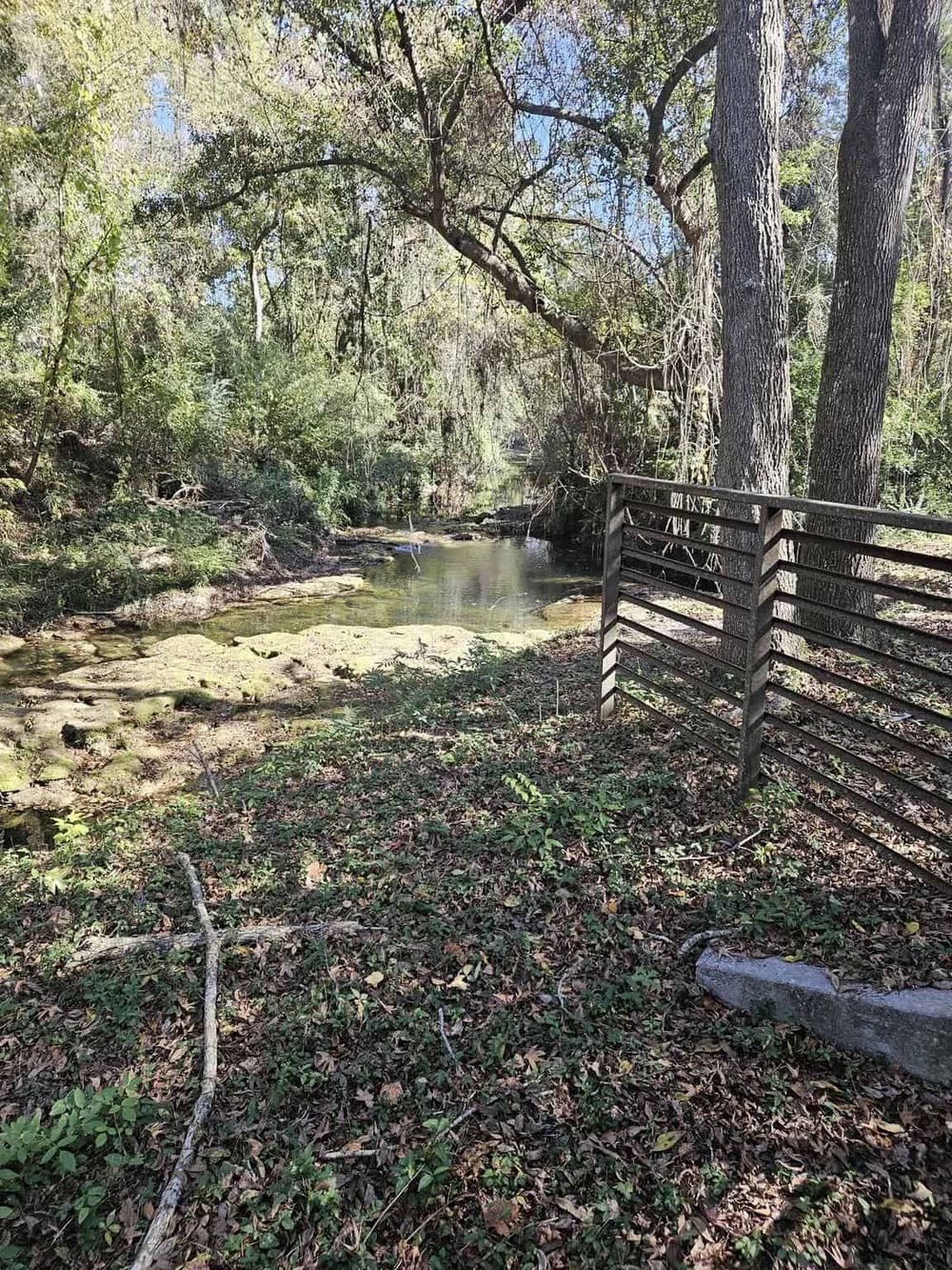 Tranquil creek surrounded by lush trees and nature at QuestForDirections.