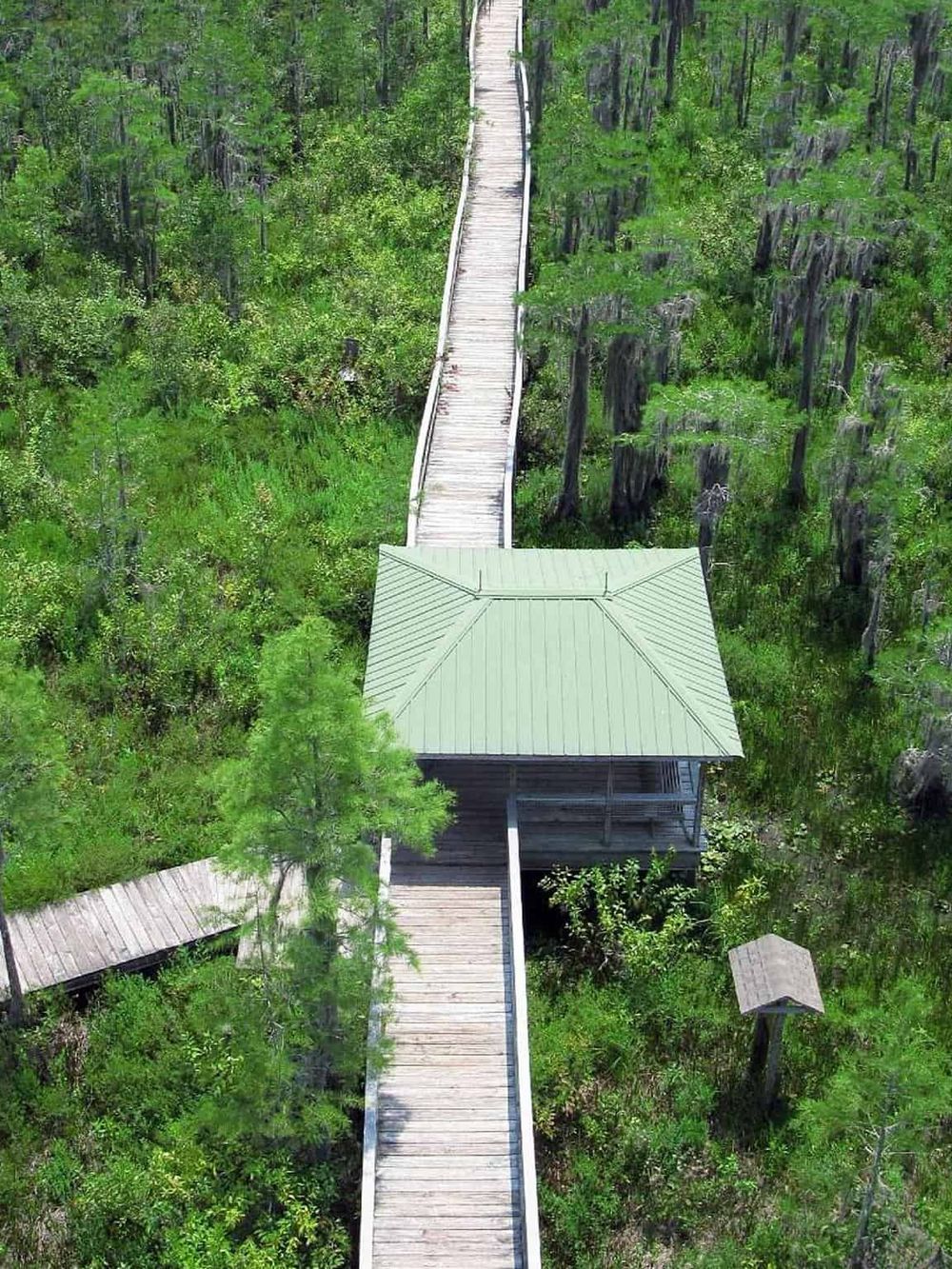 Wooden boardwalk through lush green forest with viewing shelter.
