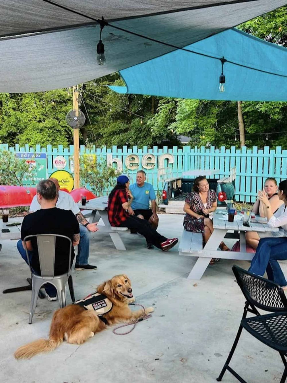 Outdoor dining with friends at QuestForDirections, under vibrant sunshade canopies.