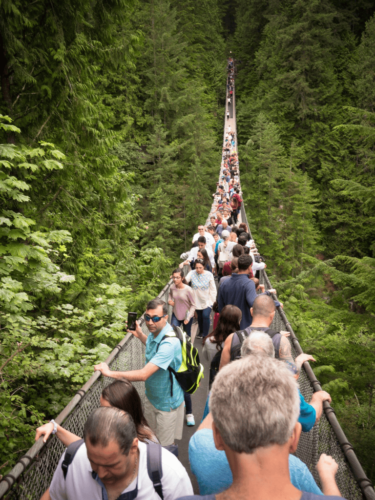 Crowd of travelers on a suspension bridge through lush green forest, exploring nature and outdoor adventures.
