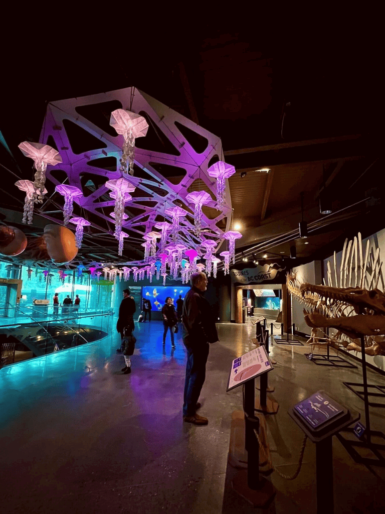 Colorful illuminated interior of a science museum exhibit featuring whale skeletons and modern artistic lighting displays.
