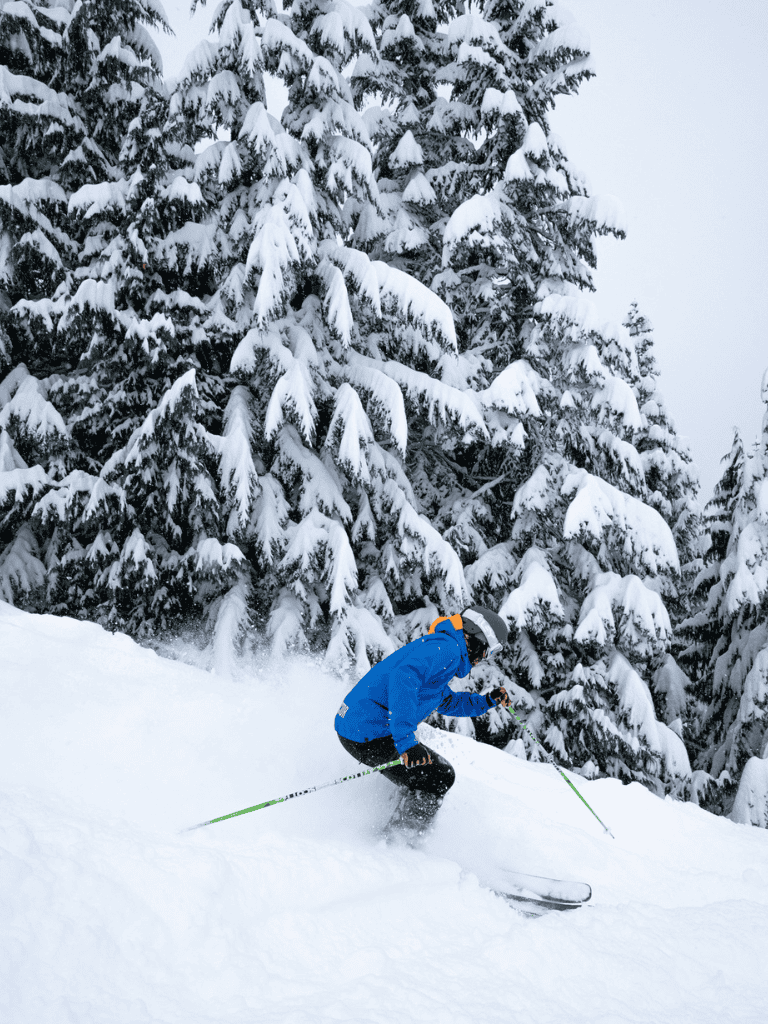 Bright blue skiing jacket in snowy forest landscape with snow-covered trees.