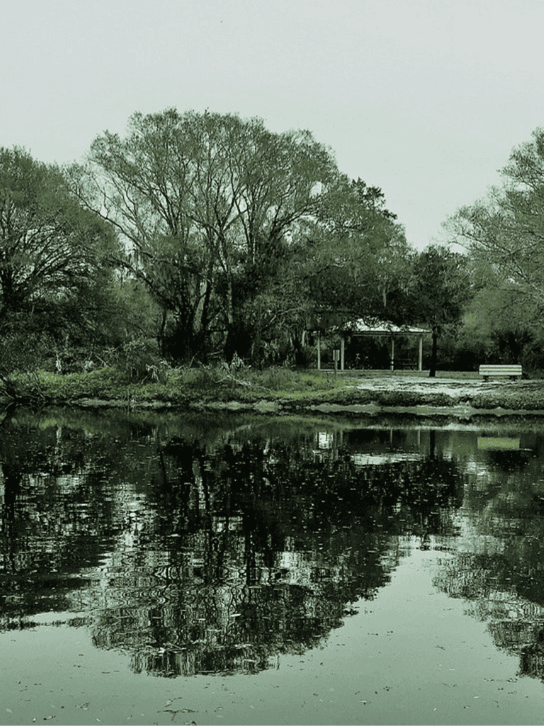 Peaceful park with large trees and reflecting pond, perfect for relaxing outdoor activities.