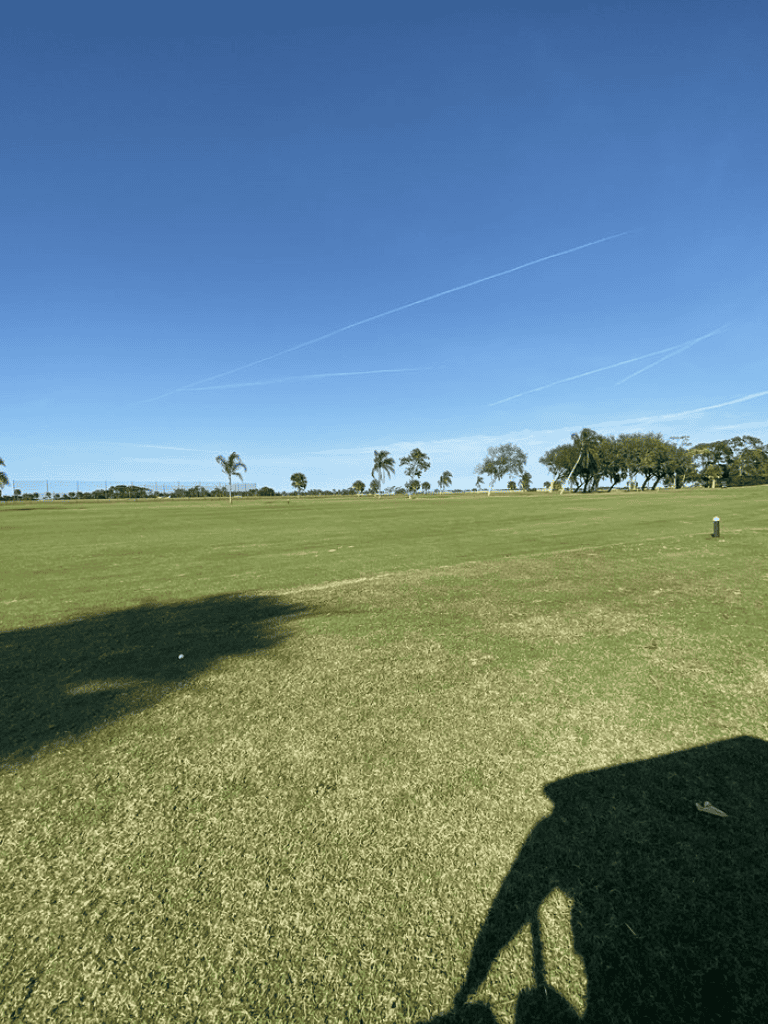 1. Wide shot of a golf course with palm trees under a clear blue sky.