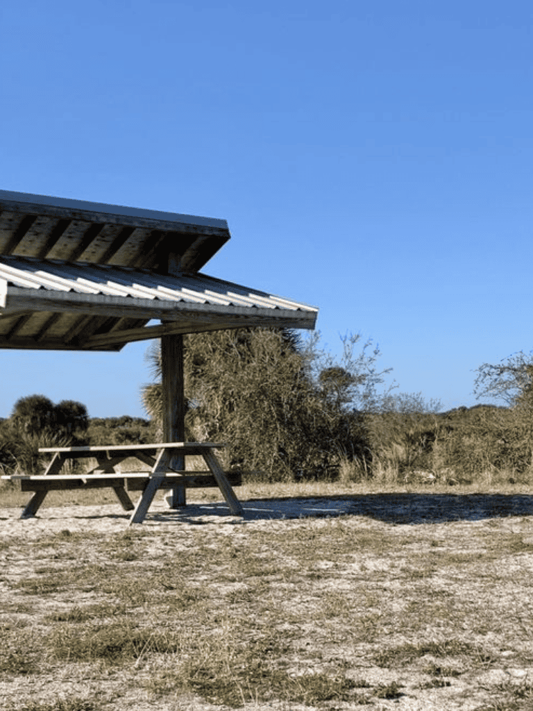 Open-air shelter with picnic table in natural outdoor setting under clear blue sky.