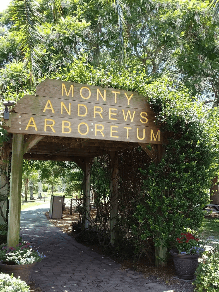 Monty Andrews Arboretum entrance, lush greenery, botanical garden, outdoor walking trail, nature reserve, city park, plant collection, scenic landscape, garden pathways, nature exploration, environmental education, botanical trail, landscaping, nature preserve, garden shop.
