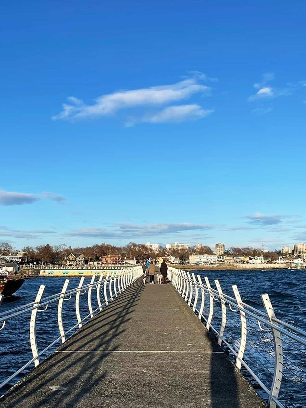 Scenic pier over water with people walking, city skyline, clear blue sky, and waterfront views.