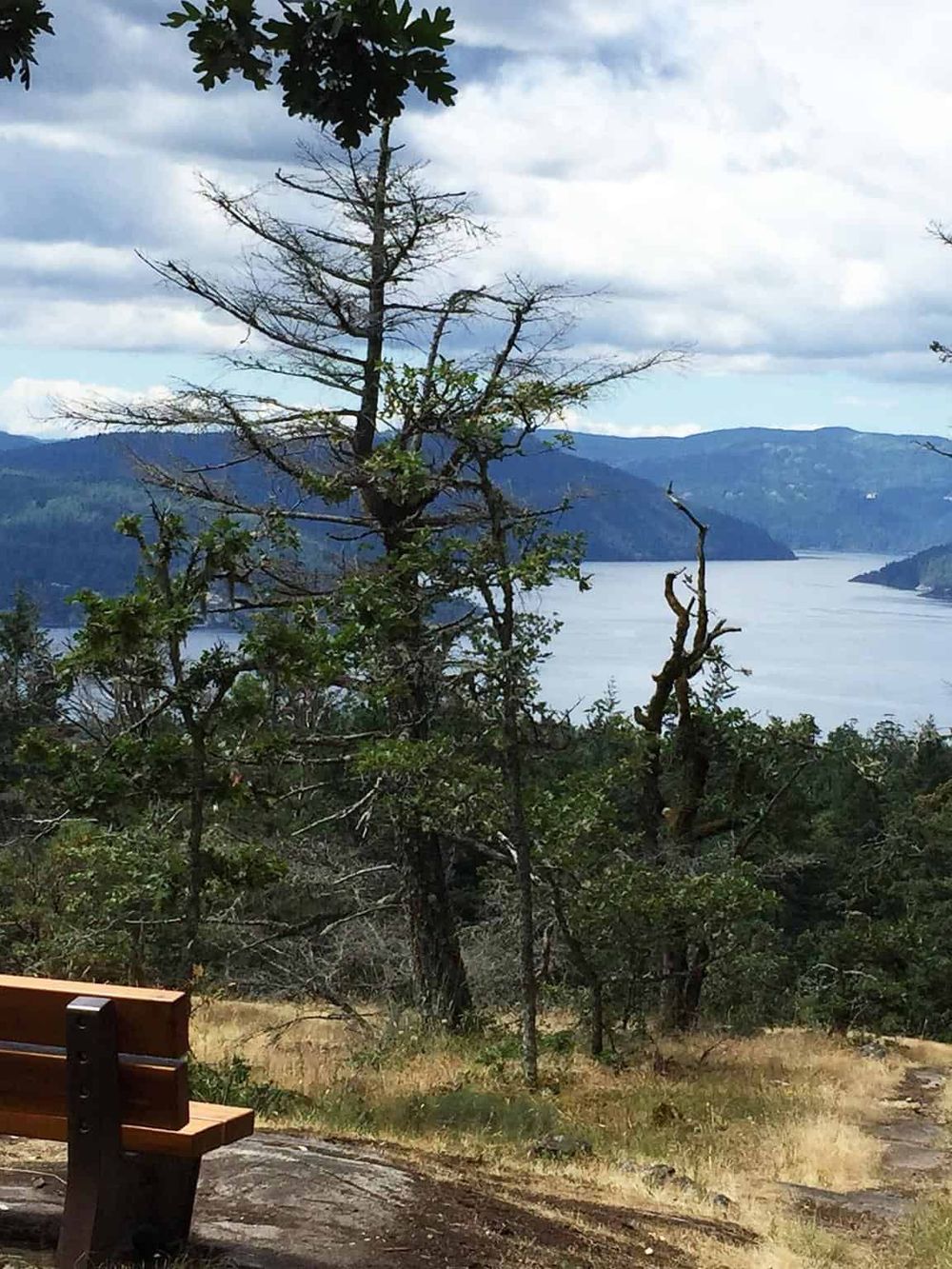 1. Scenic view of a lake and forest with a park bench in the foreground, perfect for outdoor exploration.