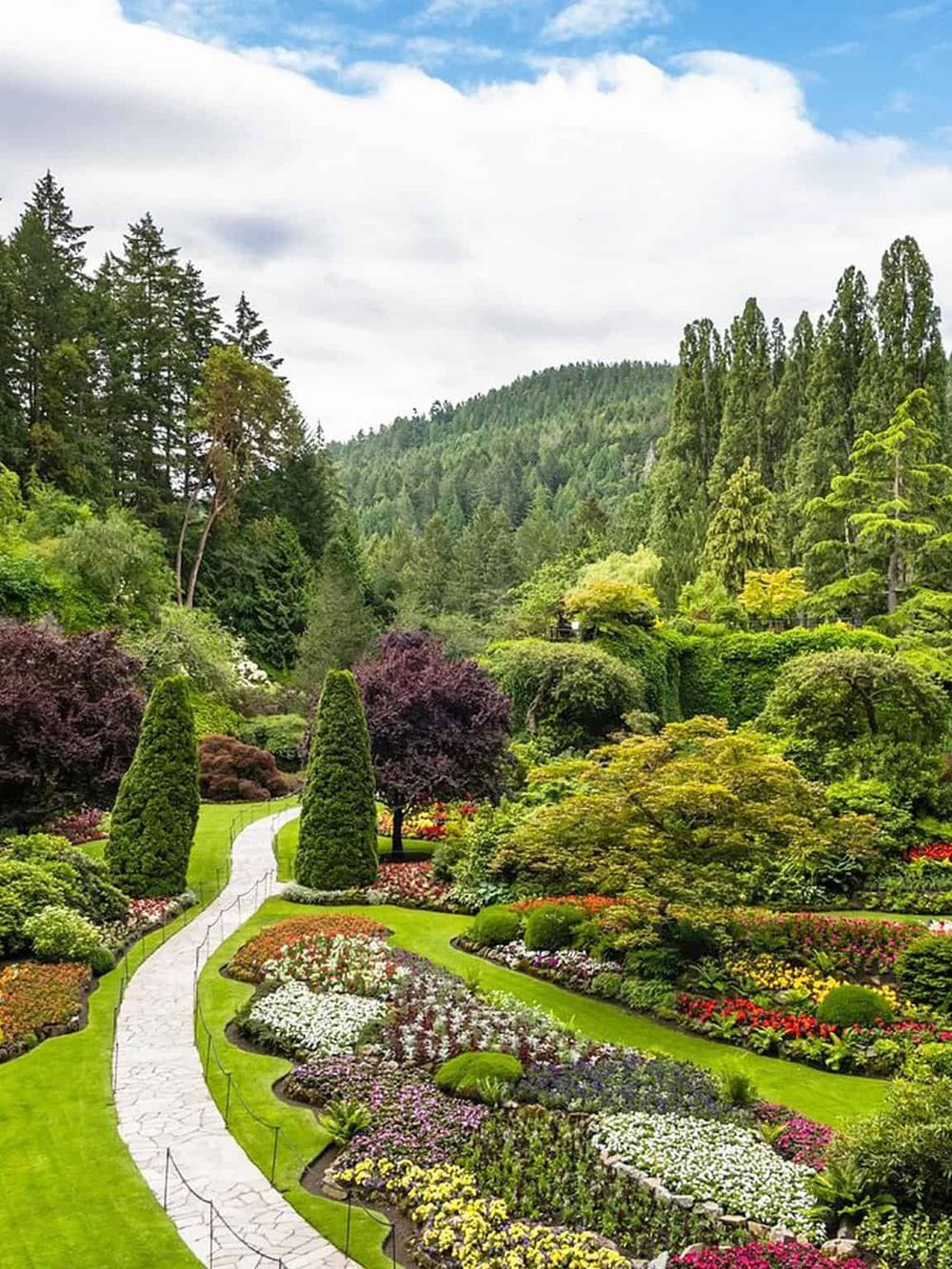 Colorful botanical garden with winding pathway surrounded by lush greenery and vibrant flowers, set against forested hills.