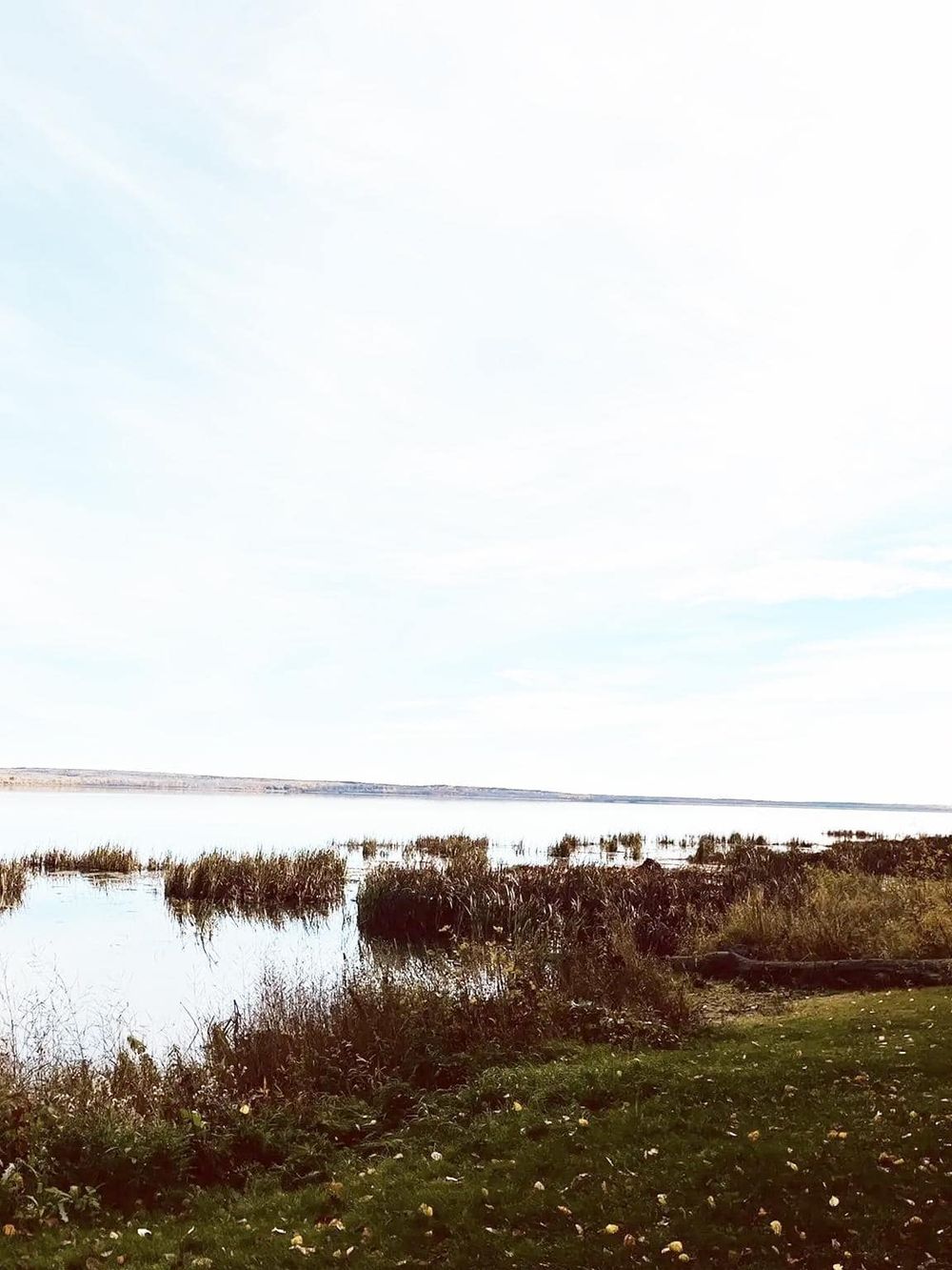Serene waterfront scene with reeds and a cloudy sky, ideal for navigation and outdoor exploration.