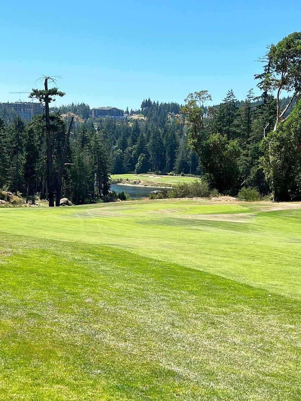 Lush green golf course with trees and water feature, scenic mountain backdrop, sunny sky, perfect for outdoor recreation.