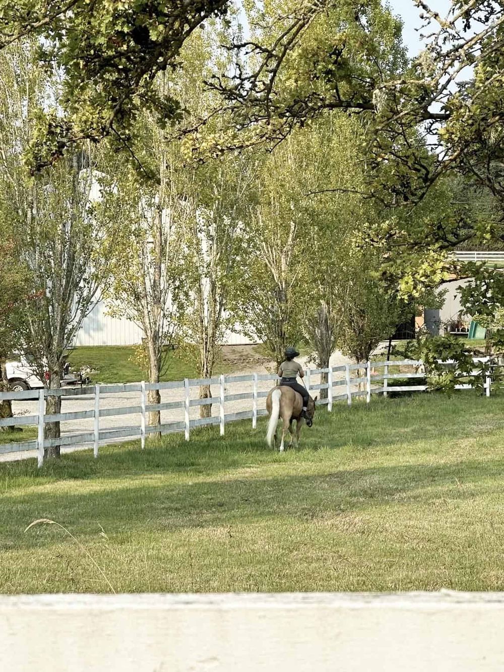 Horse riding through a peaceful, wooded area with green grass and a white fence at QuestForDirections.