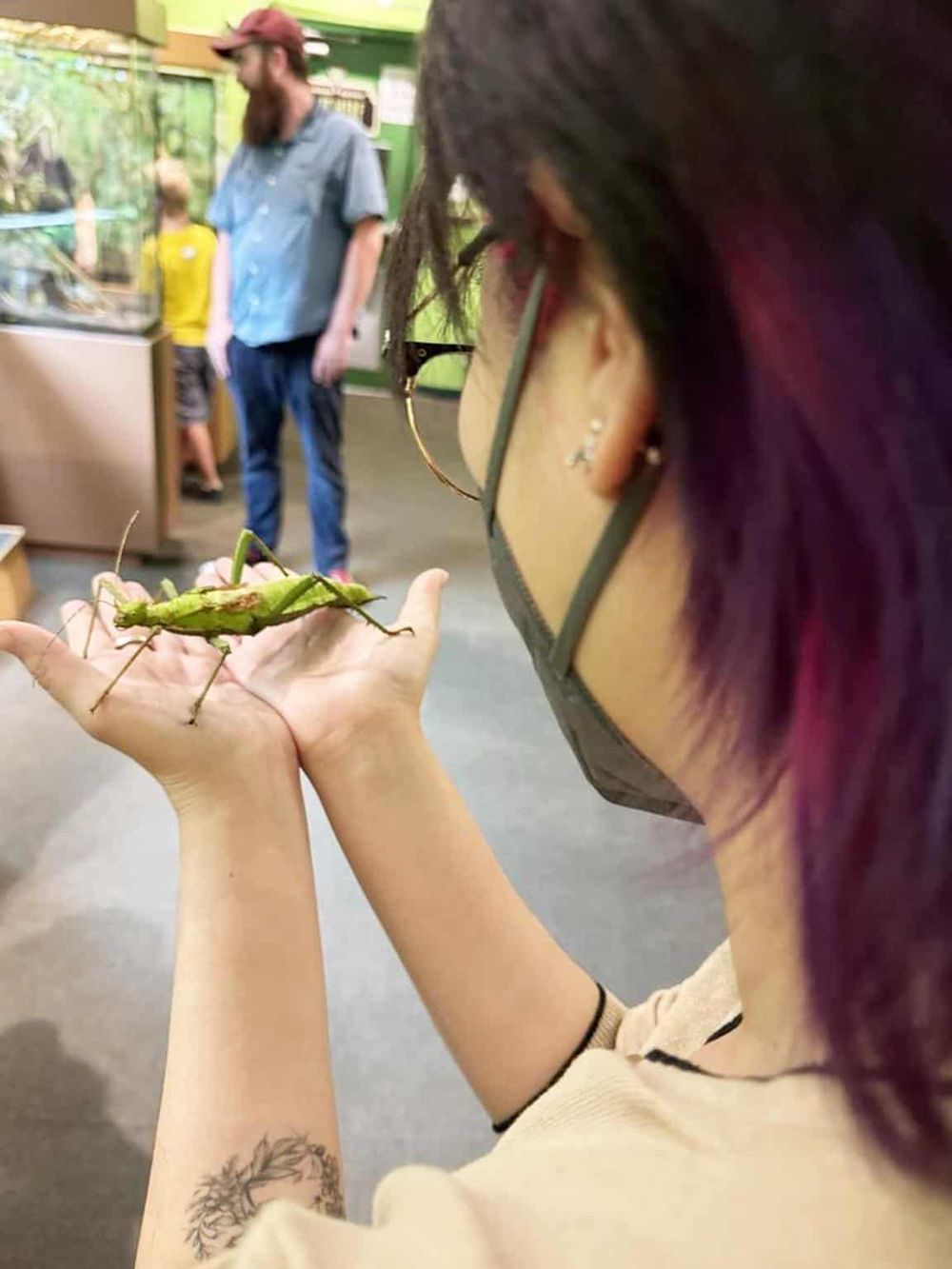 Chameleon resembling a leaf on a person's hand, showcasing nature-inspired reptile display at Quest for Directions.