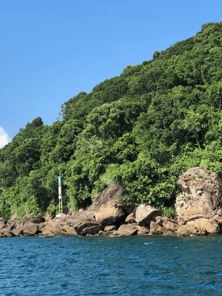 Lush green hillside with rocks by the water, scenic coastal landscape, tropical vegetation, clear blue sky.
