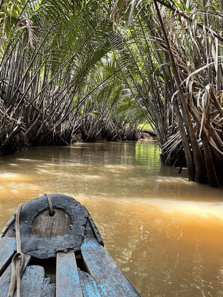 1. Narrow waterway through lush jungle with a wooden boat in foreground.