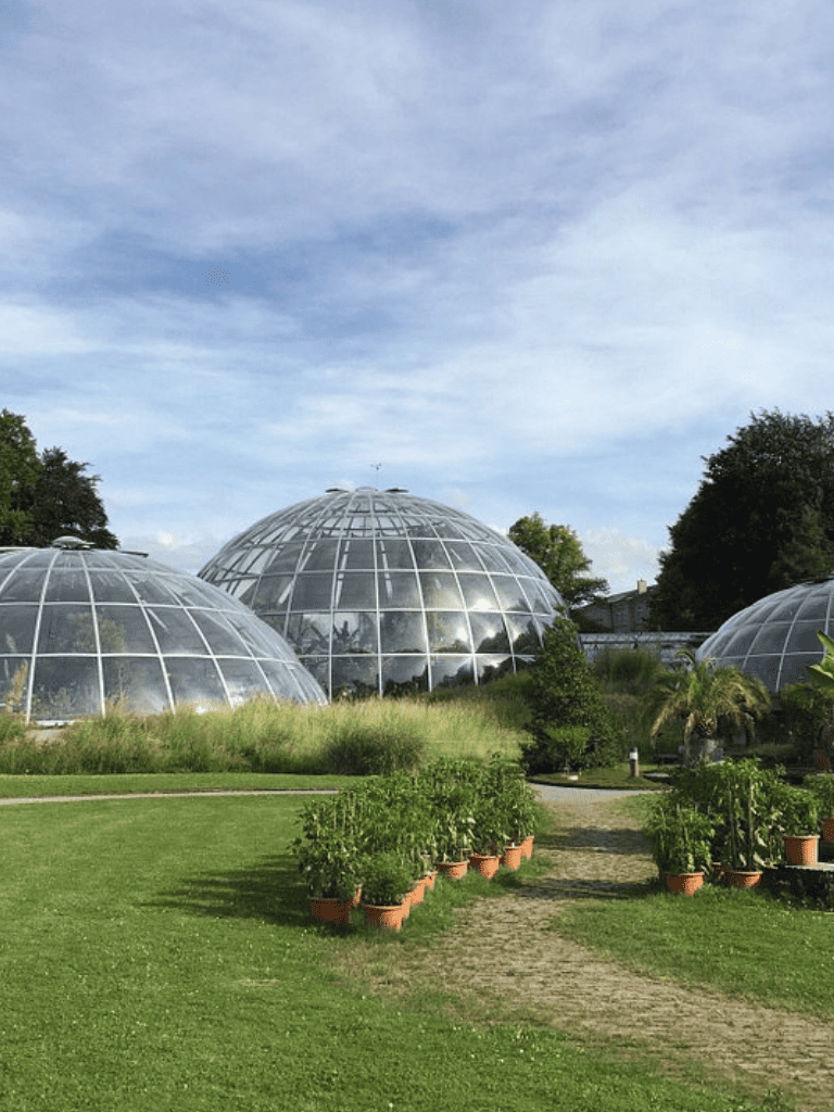 Luxury botanical conservatory with glass domes for sustainable plant growth.