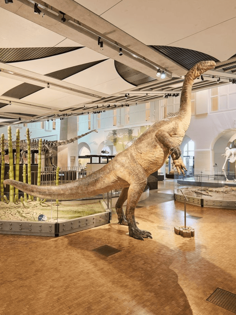 Dinosaurs exhibit at Quest for Directions museum with realistic dinosaur models and prehistoric displays.