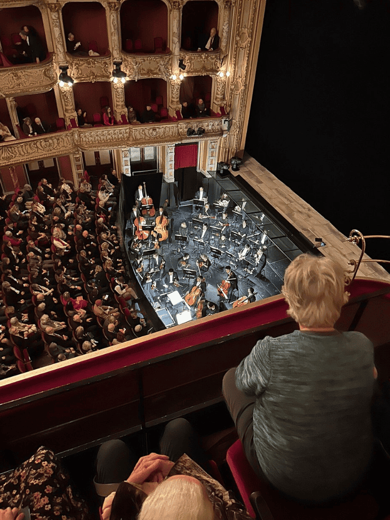 Elegant theater with live orchestral performance during a concert.