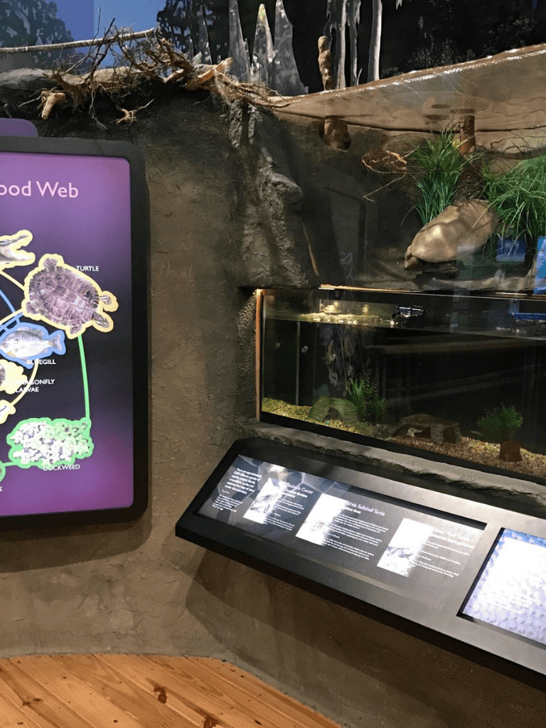 Turtle exhibit at QuestForDirections educational center with interactive map and informational display.