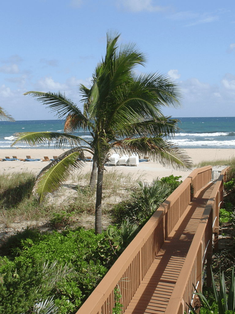 Sunny beach scene with palm trees, wooden walkway, and ocean view.