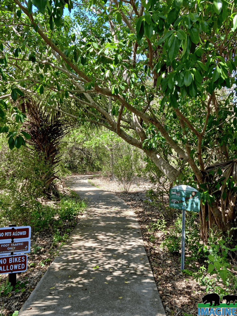 Walking trail surrounded by lush greenery at QuestForDirections, ideal for nature walks and exploring local wildlife.