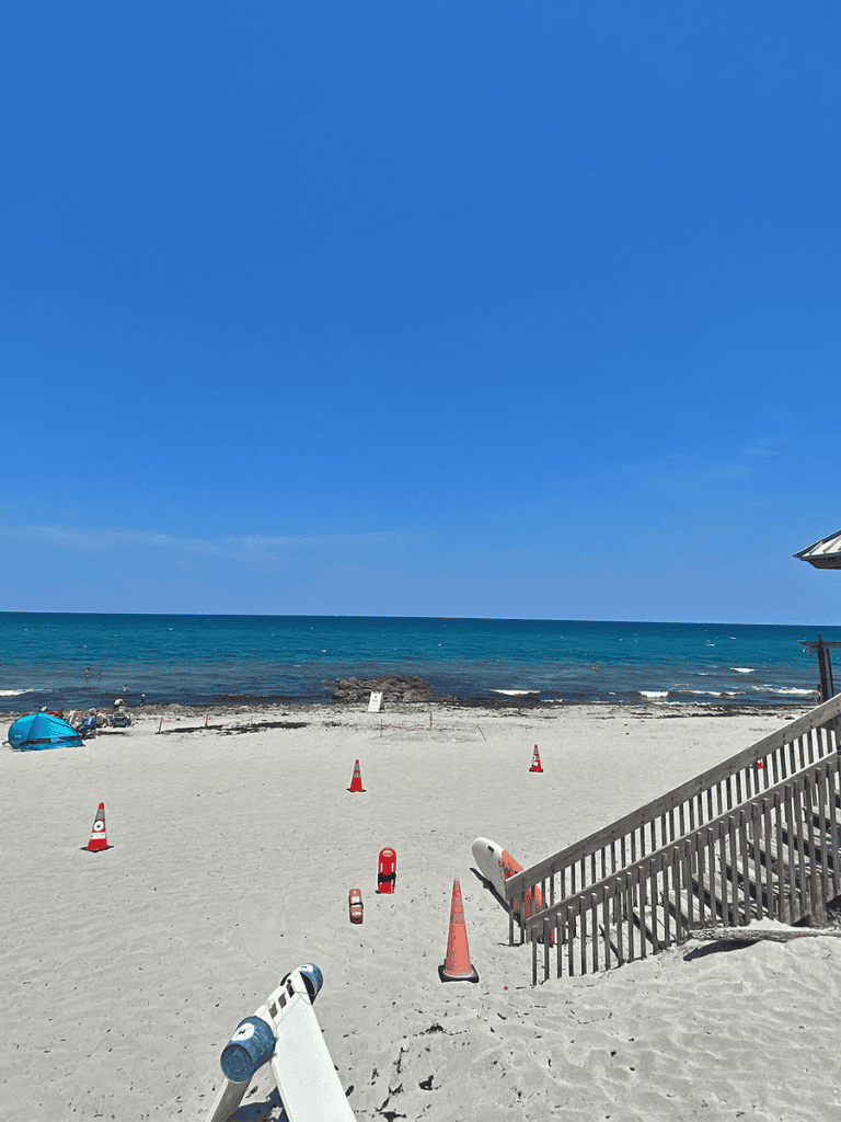 Beach safety cones and barricades on sandy shore near ocean.