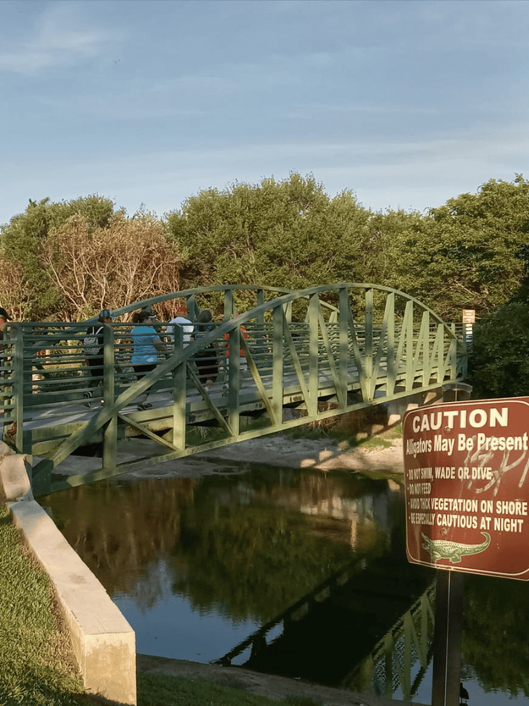 Alligator crossing bridge, nature park with walking trail, wildlife caution sign for alligator safety.