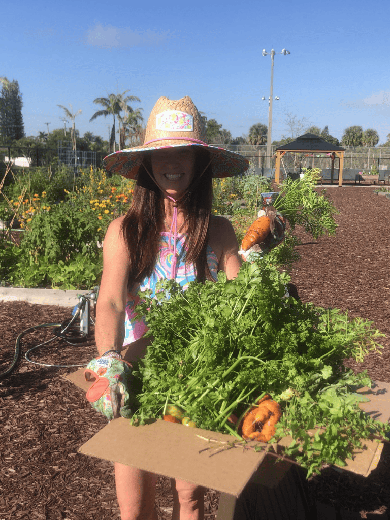 Fresh organic vegetables harvest from community garden, sustainable farming, healthy lifestyle.