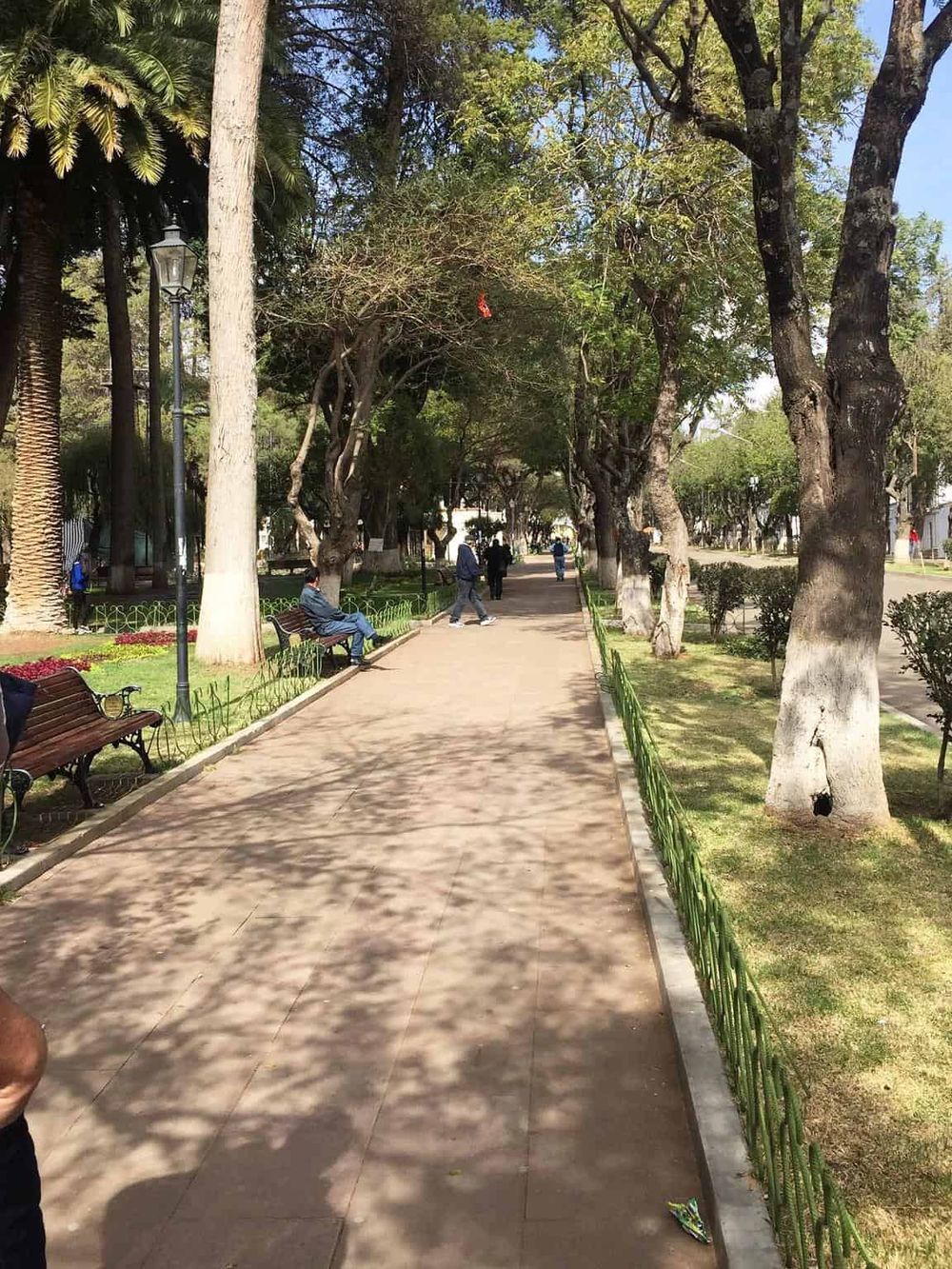 Serene park sidewalk with lush trees, benches, and people enjoying a peaceful day outdoors.