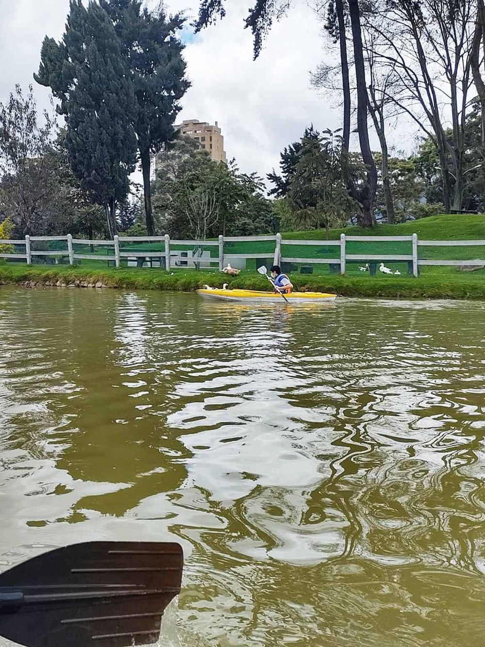 Kayaker paddleboarding on a calm river in a park, surrounded by trees and green grass.