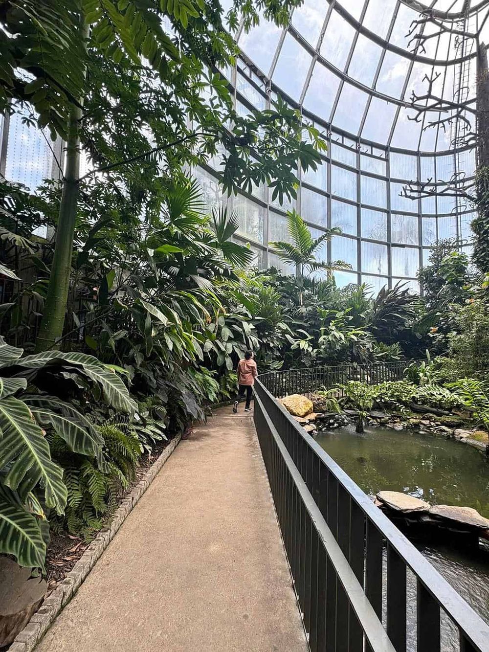 Lush indoor tropical garden at Quest for Directions, featuring a glass domed roof and walking path.