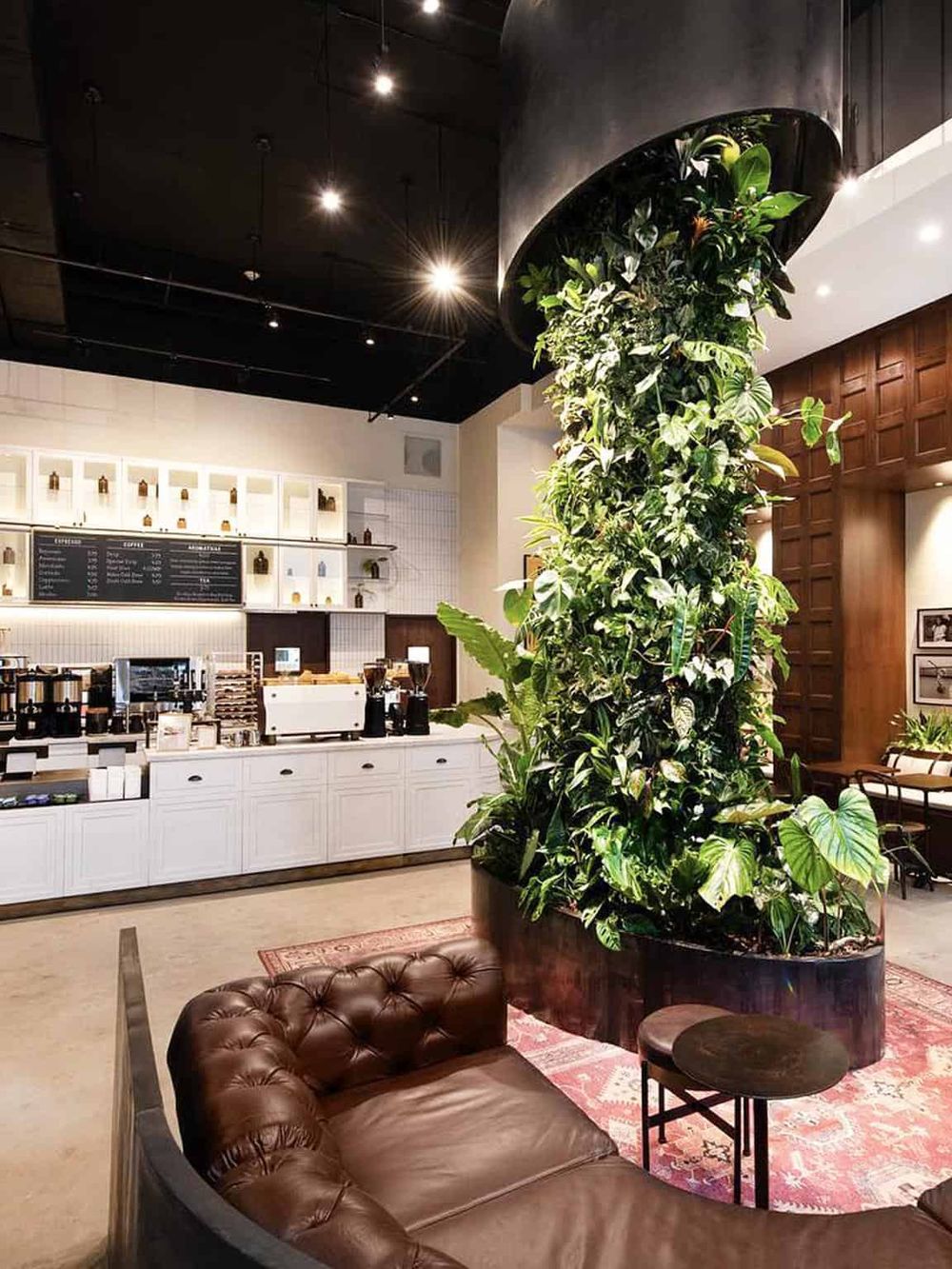 Lush green indoor plant decor in a modern coffee shop with a cozy leather sofa and a pink patterned rug.
