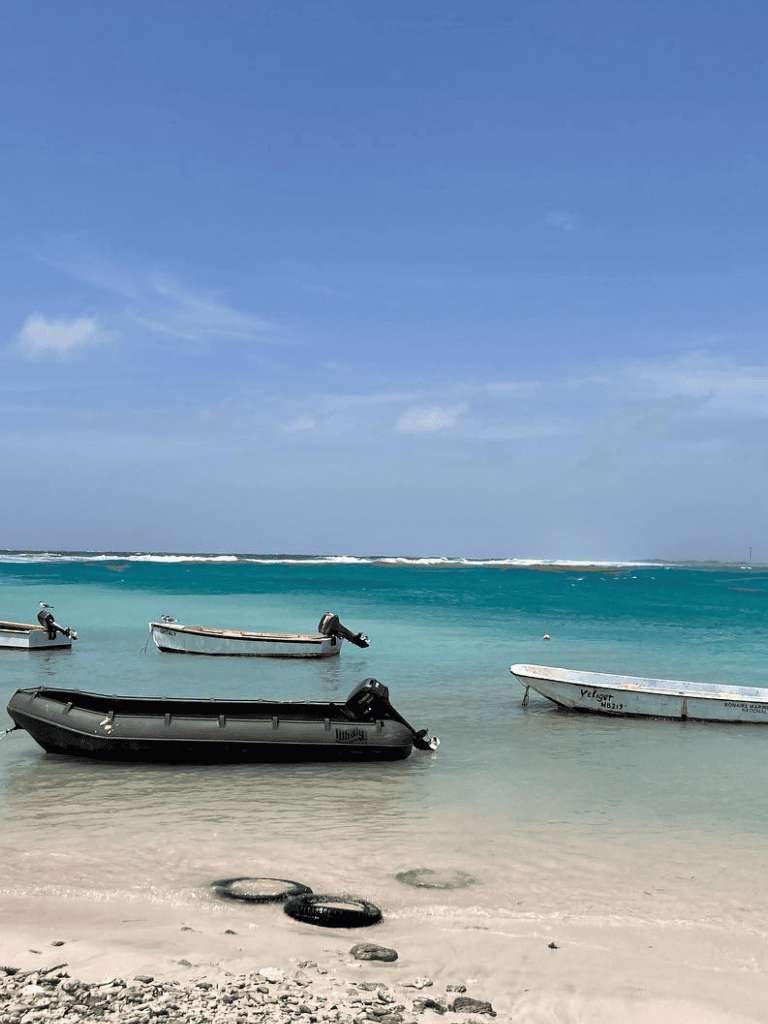 Boat rentals at tropical beach with clear blue water and sunny sky for vacation destinations.