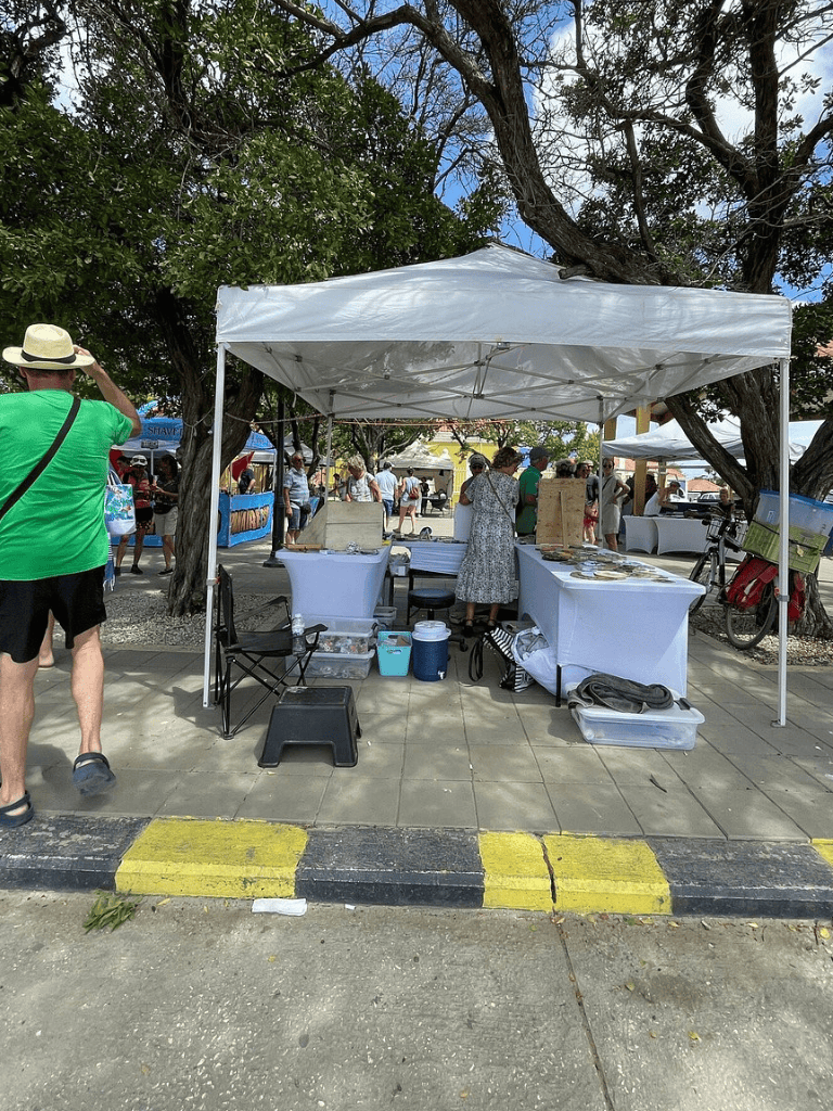 Colorful outdoor market stall at QuestForDirections event under shade trees.