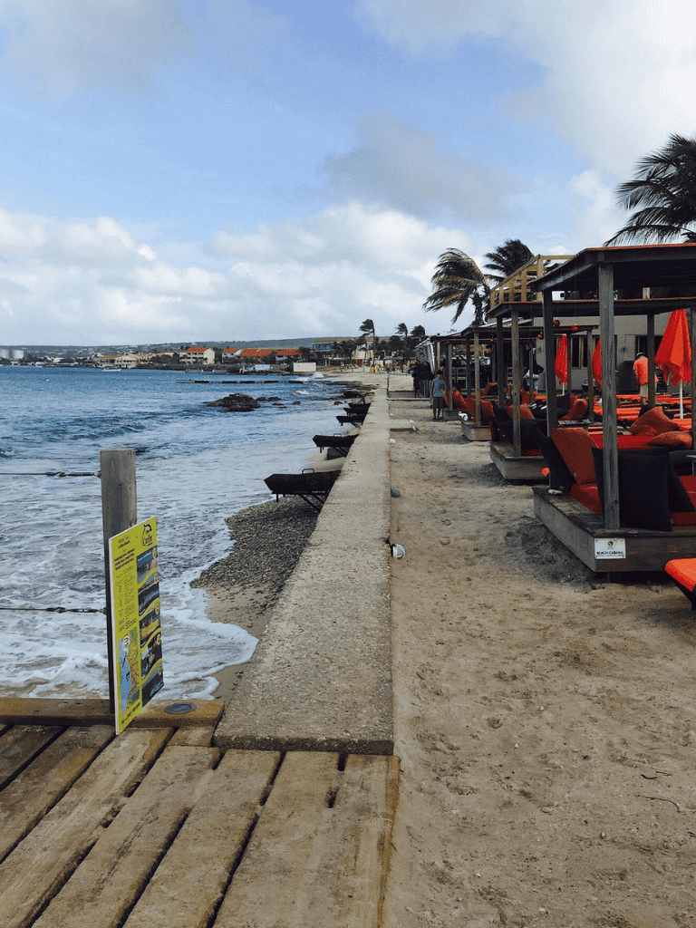 Relaxing beach scene with cabanas, lounge chairs, and ocean view at QuestForDirections.