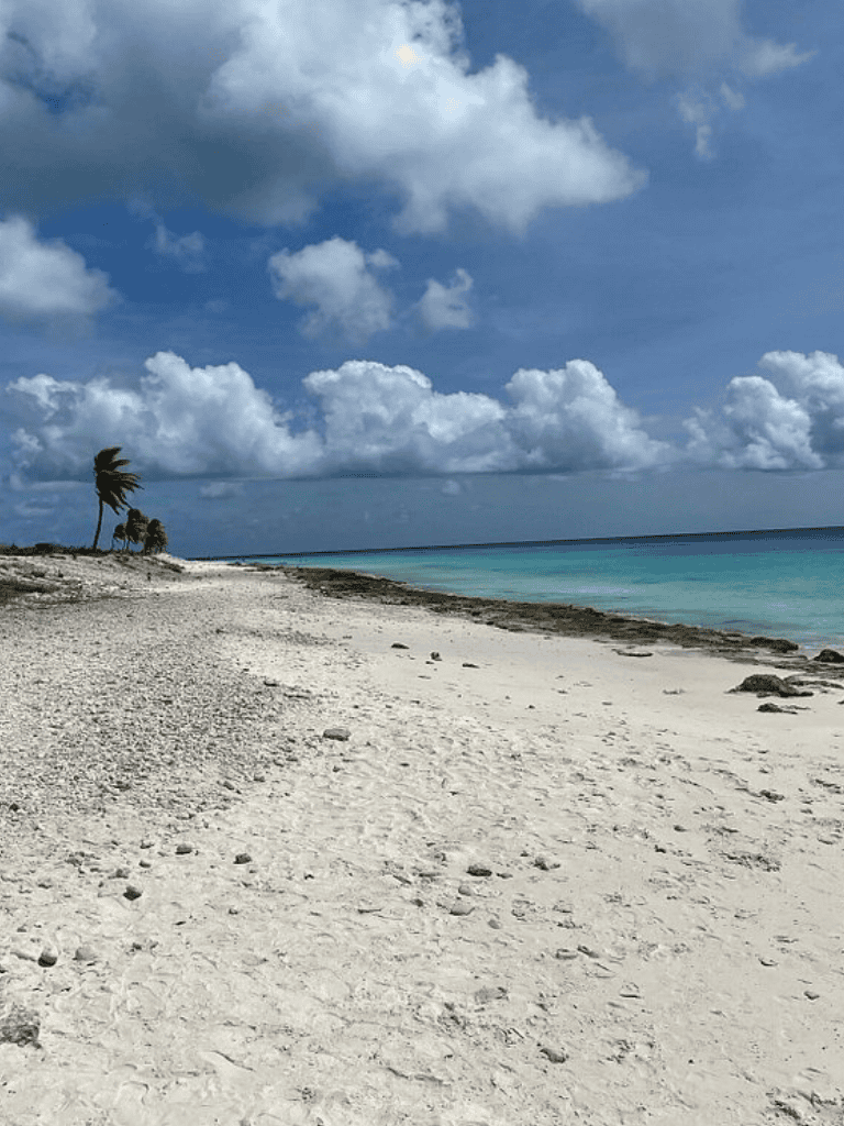 Pristine beach with white sand, turquoise water, and windy skies – perfect for travel and outdoor adventures.