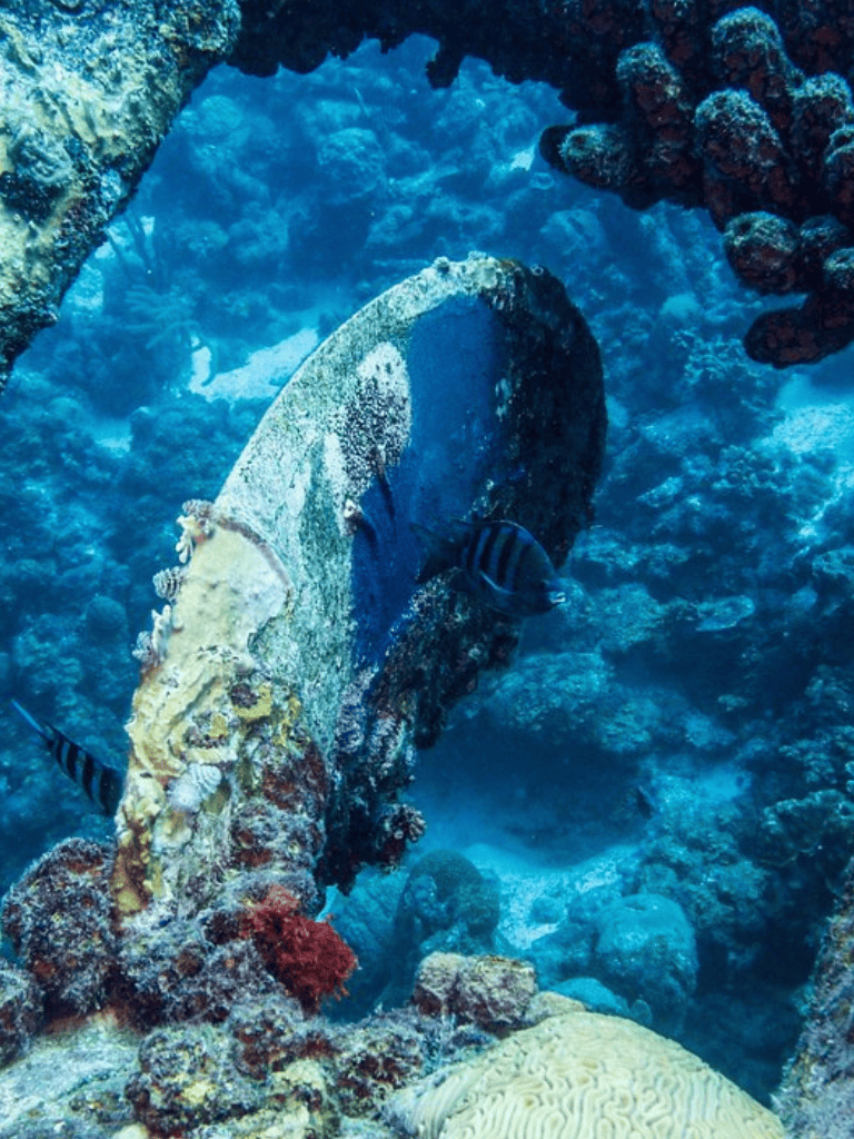 1. Underwater shipwreck with coral reefs and tropical fish in clear ocean water.
