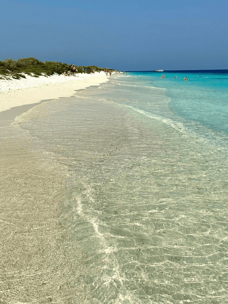 Pristine tropical beach with clear turquoise waters and soft white sand.