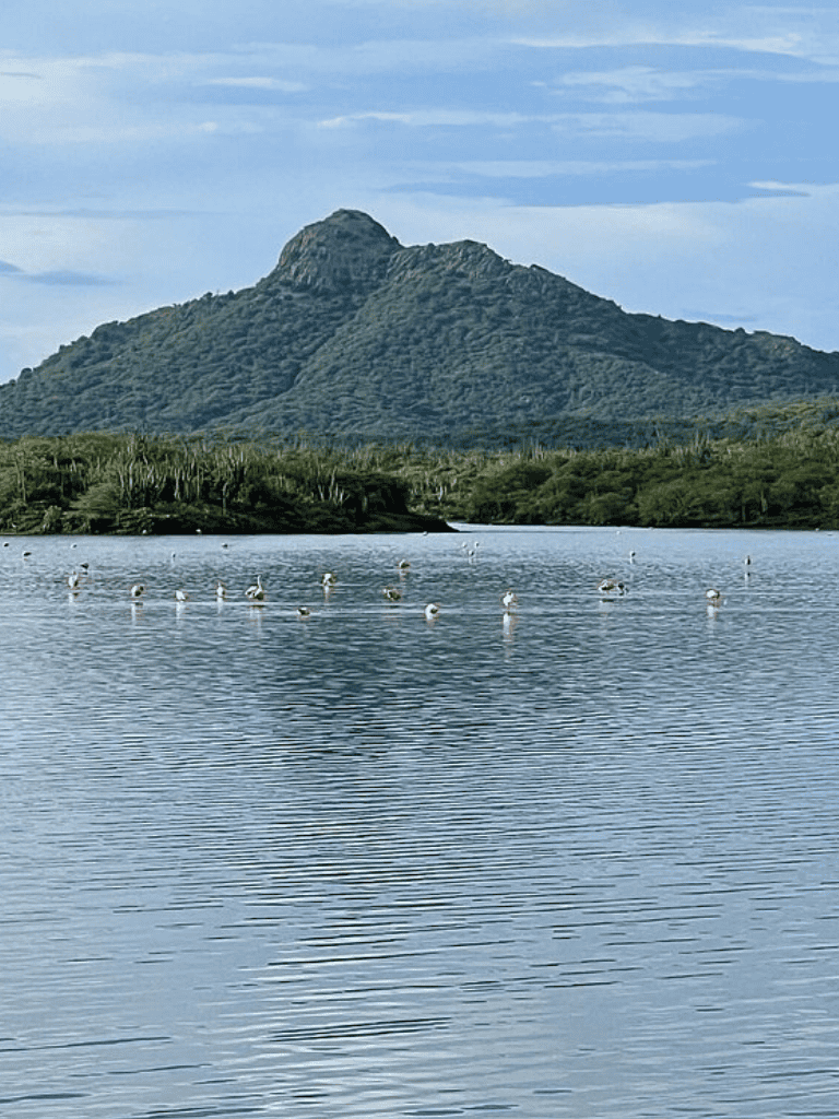 Serene lake with mountain backdrop, swans, and lush greenery for outdoor adventure and nature exploration.